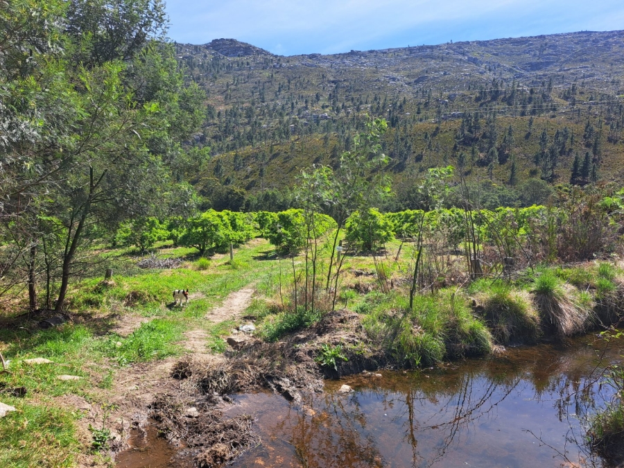 7 Bedroom Property for Sale in Riversdale Rural Western Cape